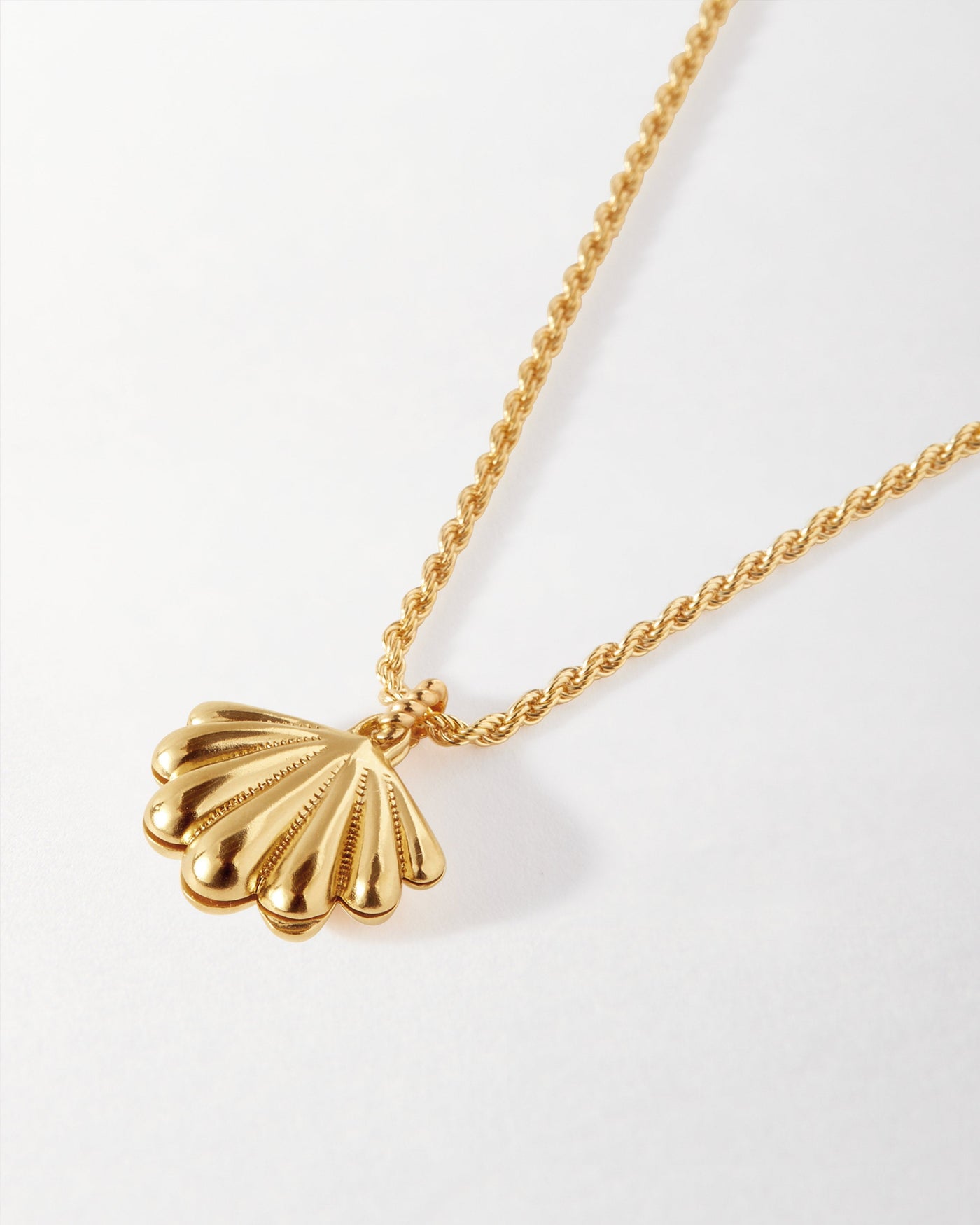 Laguna Seashell Locket Pendant Necklace