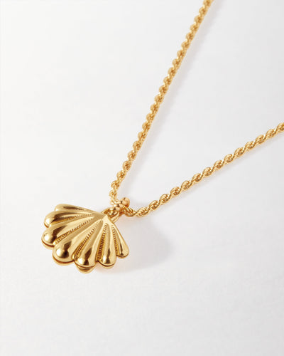 Laguna Seashell Locket Pendant Necklace