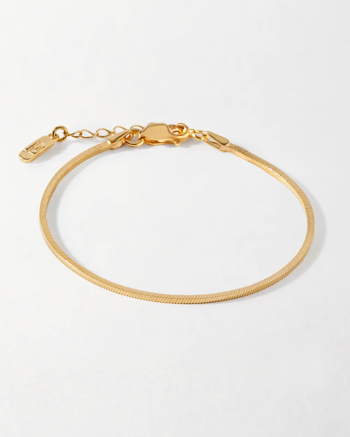 Gold Snake Chain Bracelet